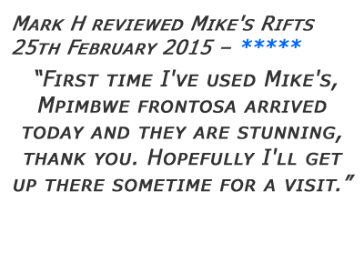 Mikes Rifts Review 28
